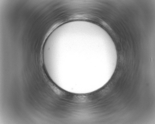 X0000065231370200603172101