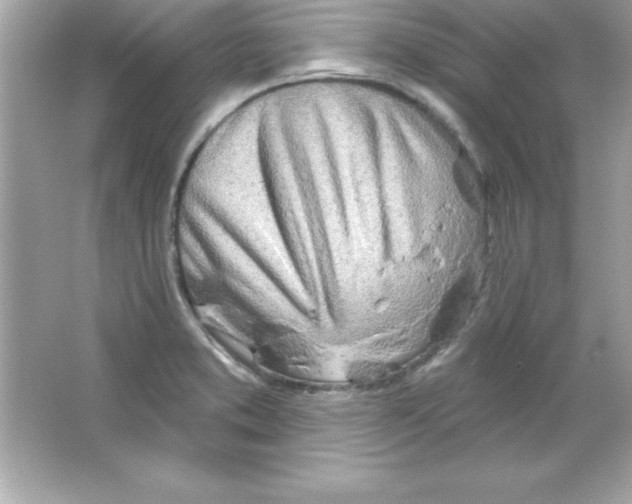 X0000065231373200603172101
