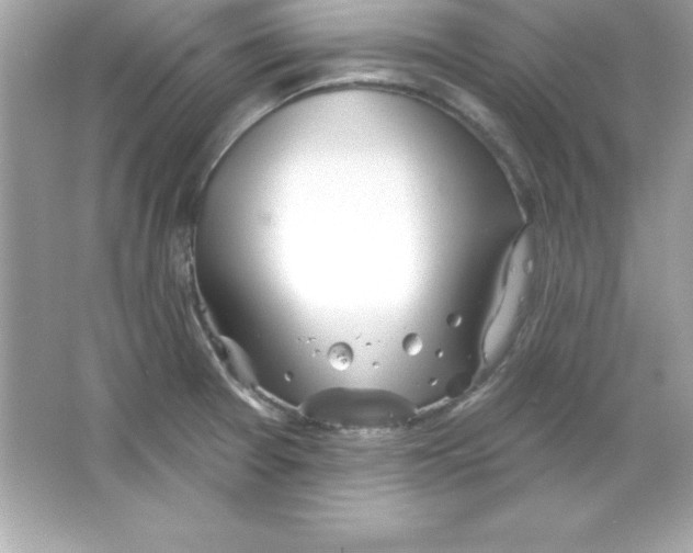 X0000065231377200603172101