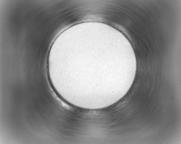 X0000065231387200603172101