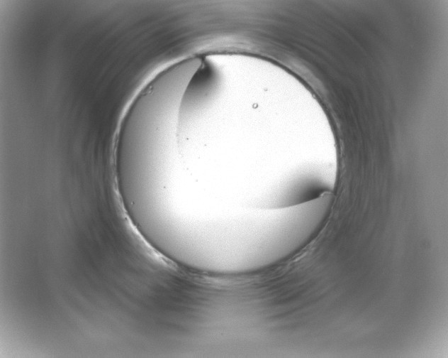 X0000065231392200603172100