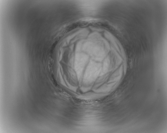 X0000065231397200603172100