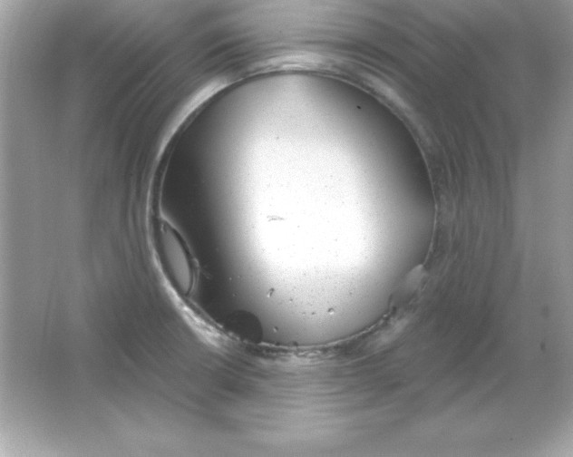X0000065231426200603172100