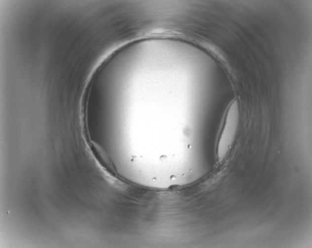 X0000065231430200603172100