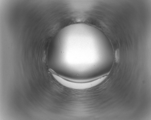 X0000065231443200603172100