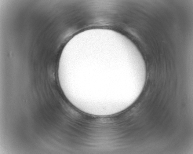 X0000065231451200603172059