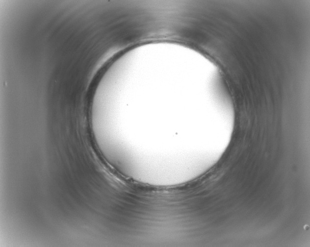 X0000065231458200603172059
