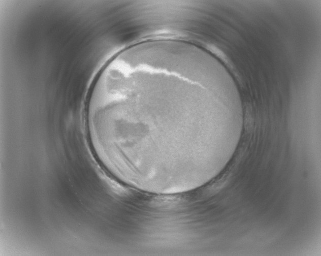 X0000065231474200603172059