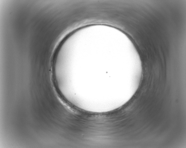 X0000065231511200603172058