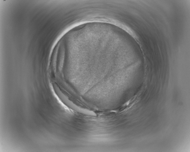 X0000065231536200603172059