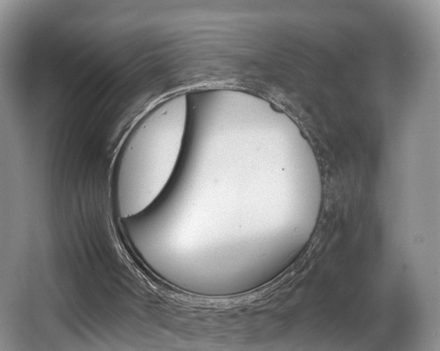 X0000065240002200602171007