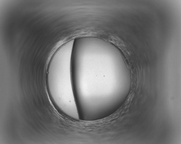 X0000065240003200602171007