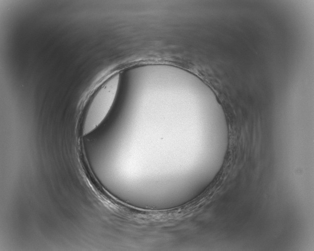 X0000065240005200602171007