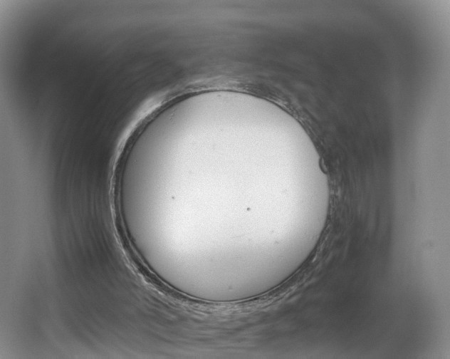 X0000065240006200602171007