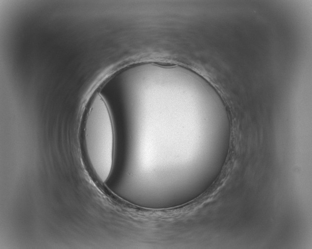 X0000065240007200602171006