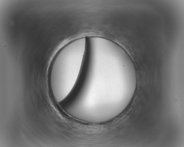 X0000065240008200602171006