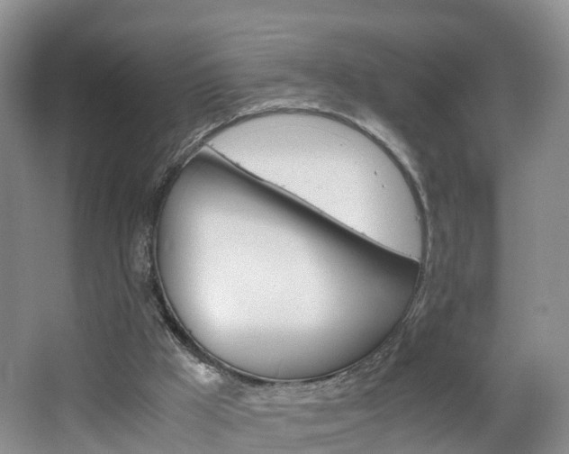 X0000065240009200602171006