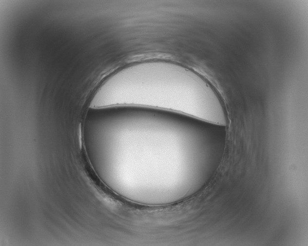 X0000065240013200602171006