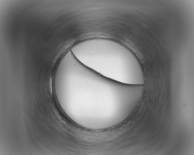 X0000065240014200602171006