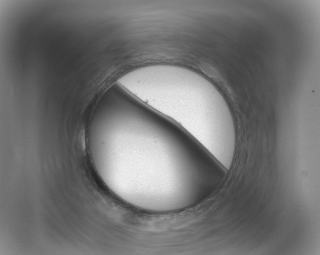X0000065240021200602171006