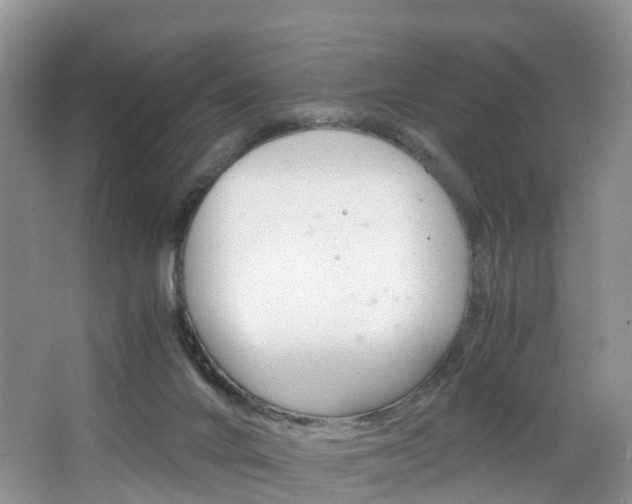 X0000065240024200602171006