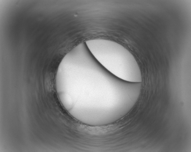 X0000065240030200602171006