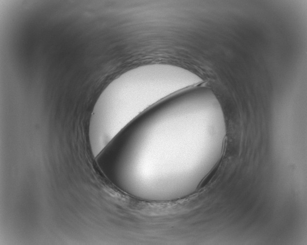 X0000065240037200602171006