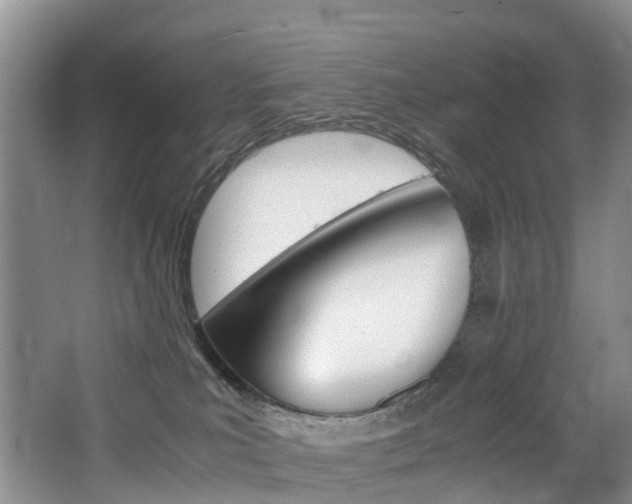 X0000065240039200602171006