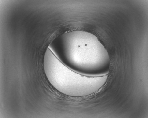 X0000065240045200602171006