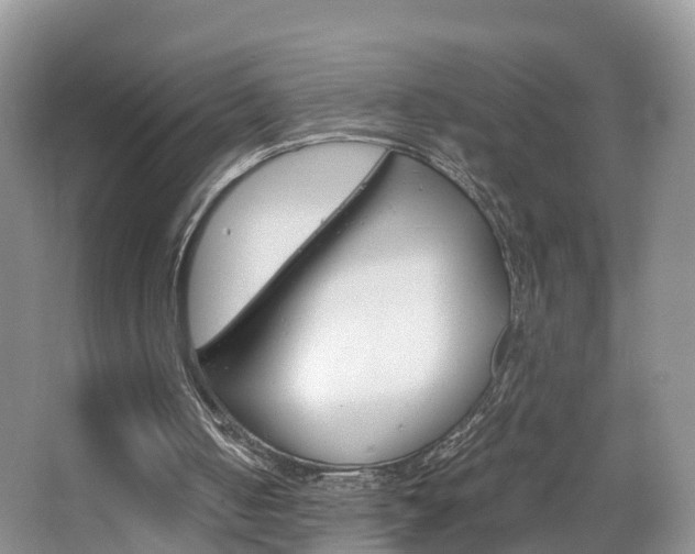 X0000065240050200602171005