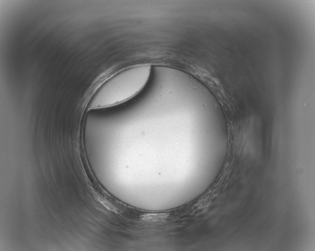 X0000065240051200602171005