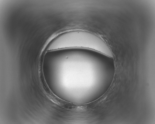 X0000065240056200602171005