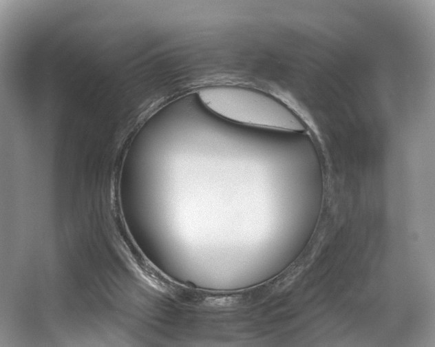 X0000065240057200602171005