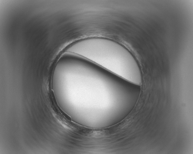 X0000065240060200602171005