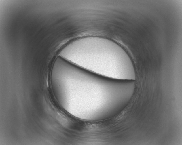 X0000065240062200602171005