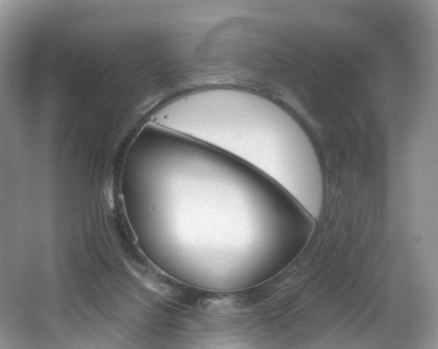 X0000065240068200602171005