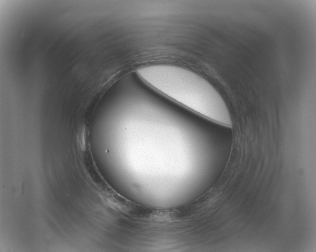 X0000065240076200602171005