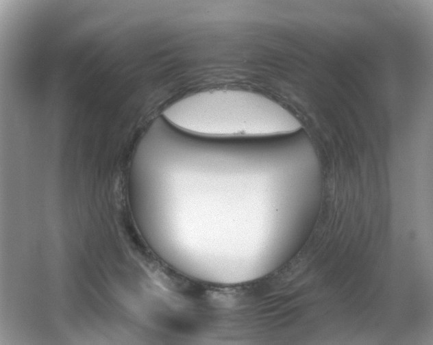 X0000065240079200602171005