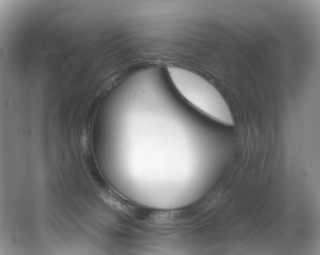 X0000065240084200602171006