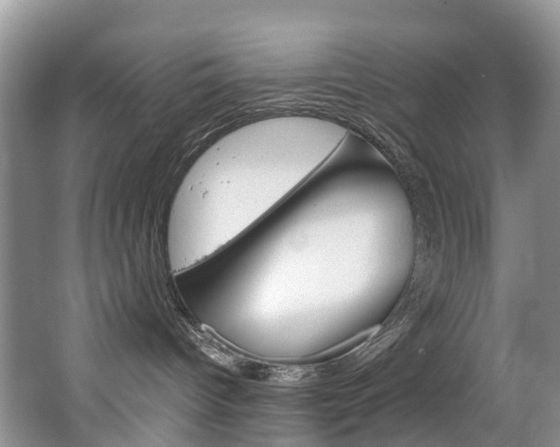 X0000065240096200602171006