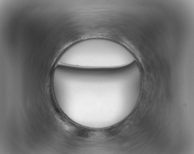 X0000065240107200602171005