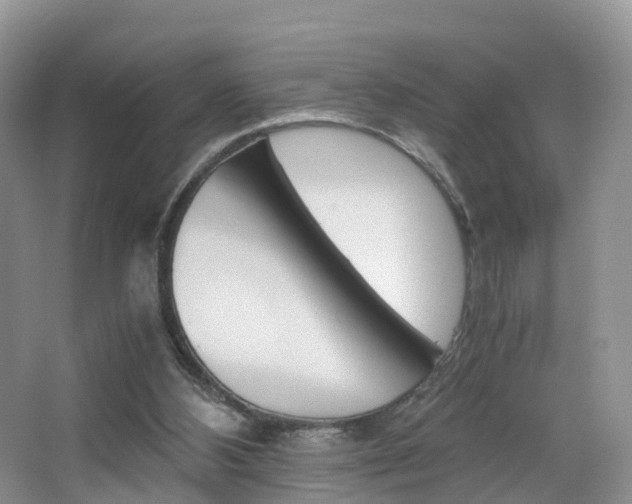X0000065240108200602171005