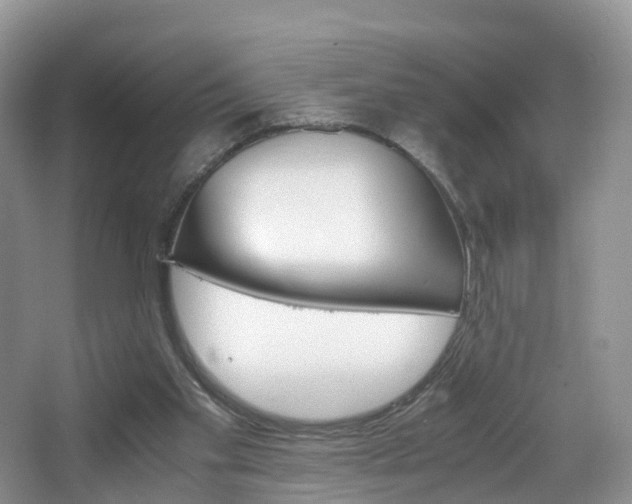 X0000065240109200602171005