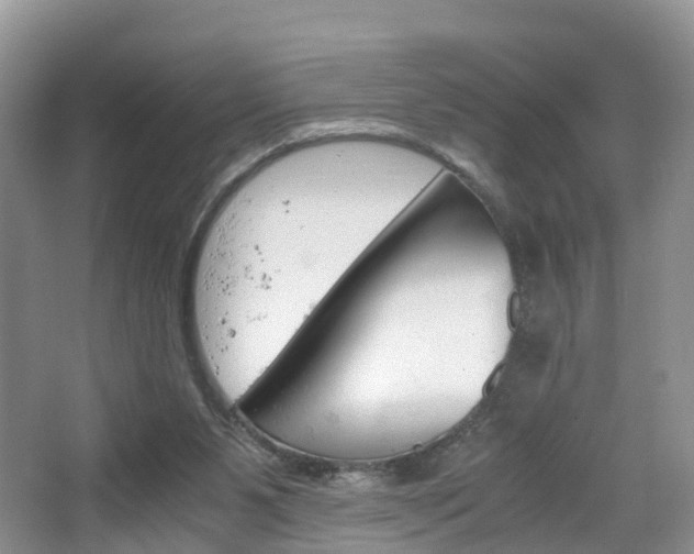 X0000065240111200602171005