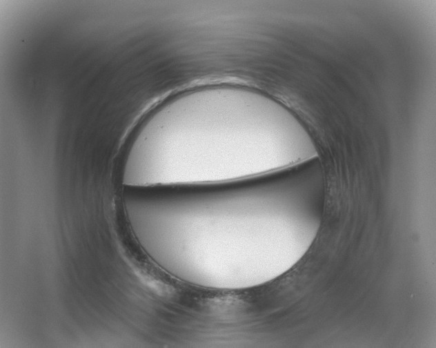 X0000065240112200602171005