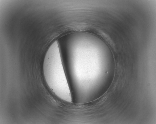 X0000065240113200602171005
