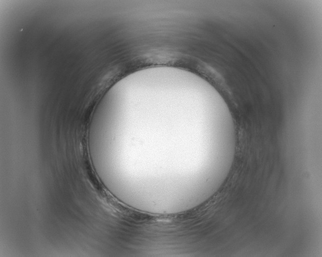 X0000065240114200602171005