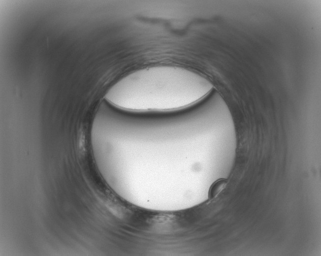 X0000065240124200602171004