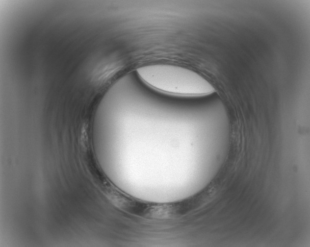 X0000065240127200602171004