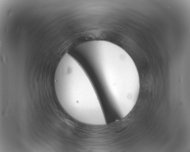 X0000065240132200602171004